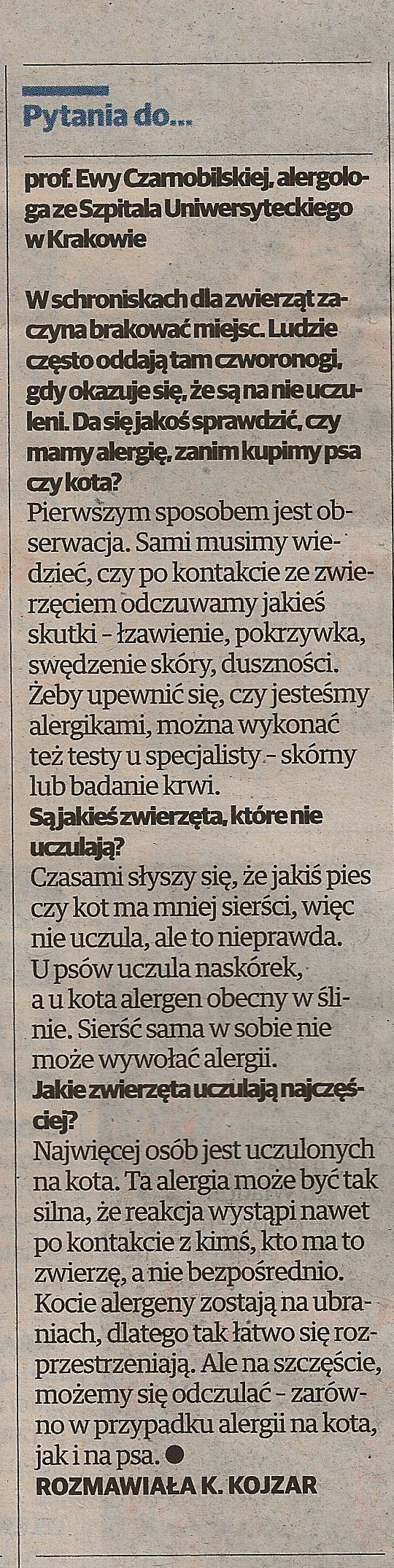 Zanim zdecydujesz sie na posiadanie psa 2