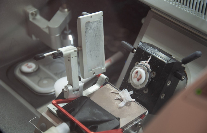 Wyposażenie zakładu 