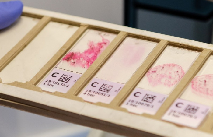 Wyposażenie zakładu 