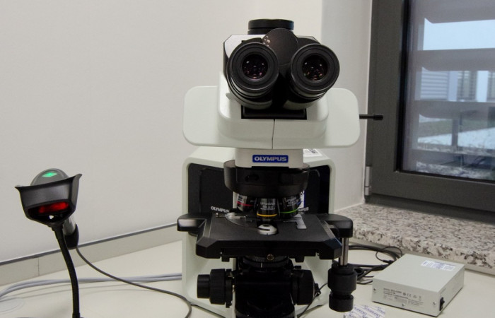 Pracownia cytologii mikroskop świetlny