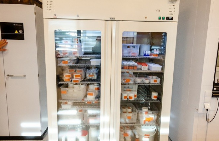 _AID5299_fot._Agnieszka_Diaków_Archiwum_SU