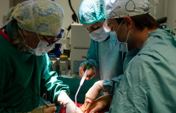 Operacja zbliżenie na lekarzy