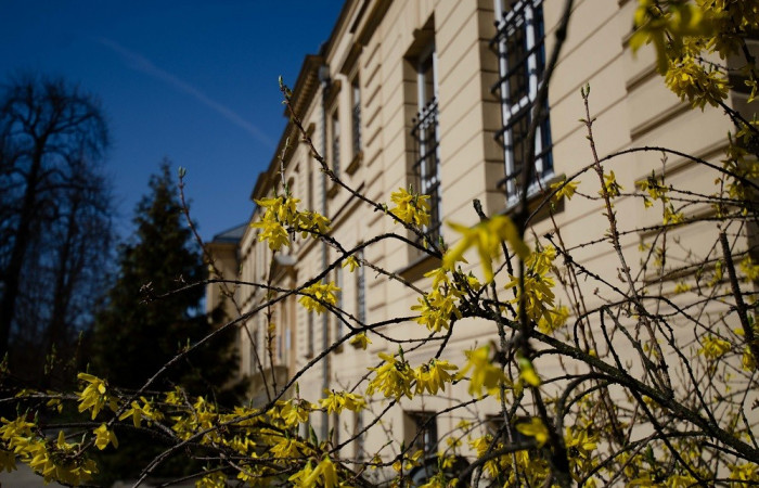 Zdjęcie budynku z zewnątrz