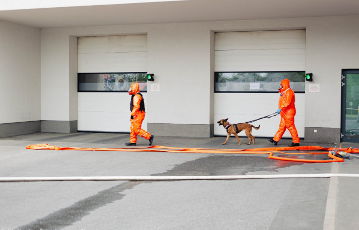 46. fot. Karolina Fok I Archiwum SU