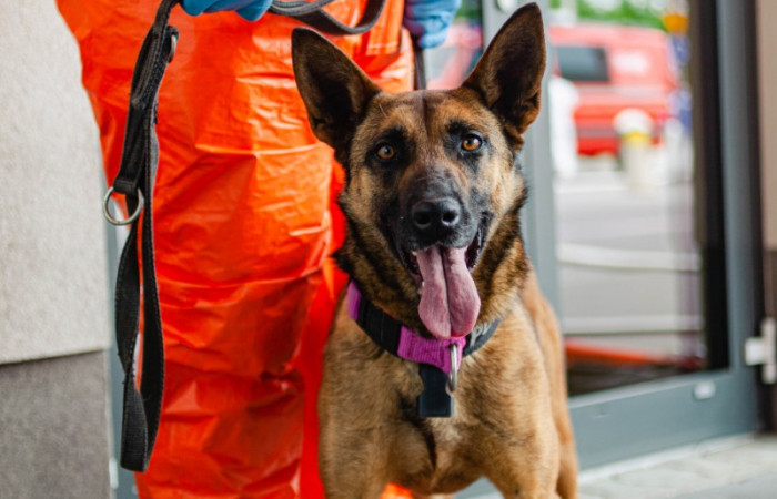 4. fot. Karolina Fok I Archiwum SU