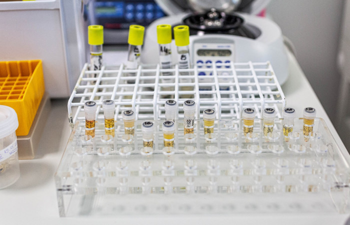 fot. Karolina Fok / Archiwum SU