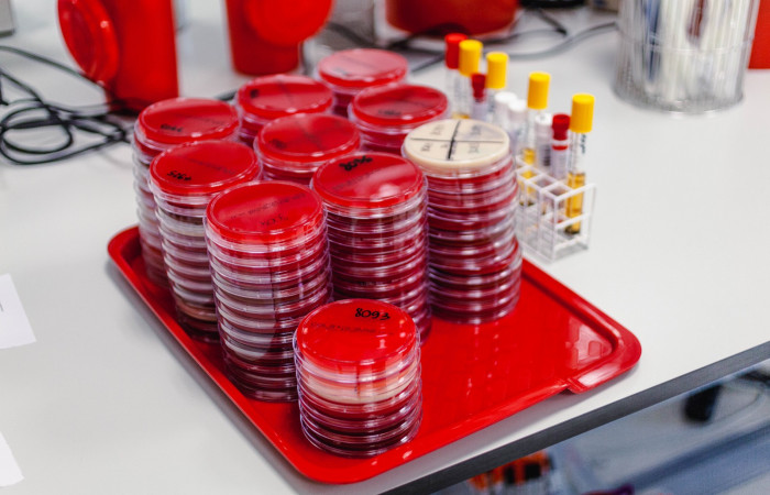 fot. Karolina Fok / Archiwum SU