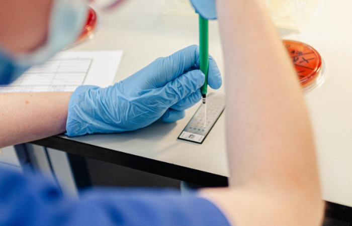 fot. Karolina Fok / Archiwum SU