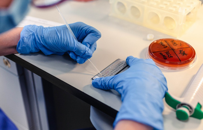 fot. Karolina Fok / Archiwum SU