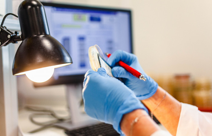 fot. Karolina Fok / Archiwum SU