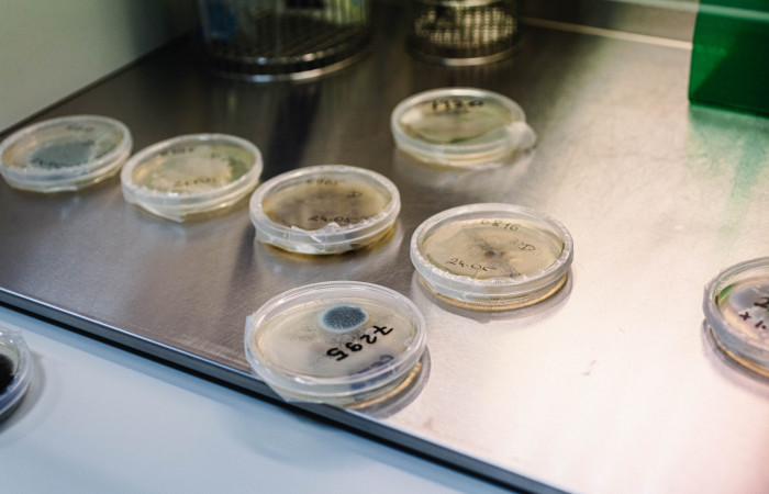 fot. Karolina Fok / Archiwum SU