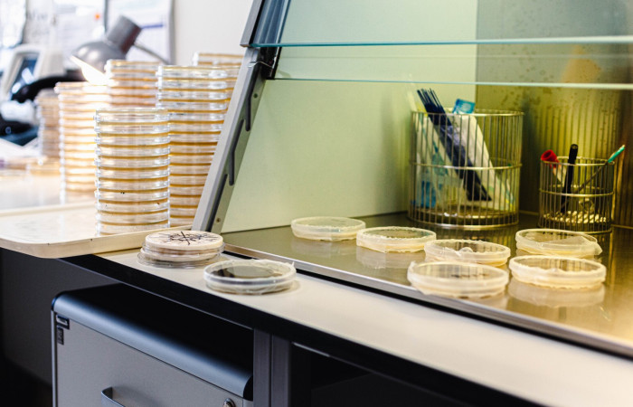 fot. Karolina Fok / Archiwum SU