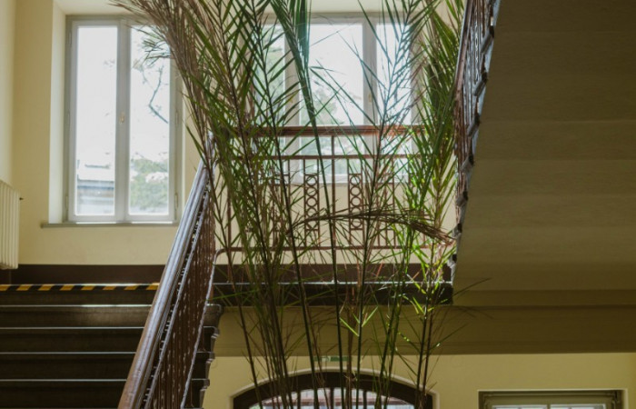 fot. Karolina Fok / Archiwum SU