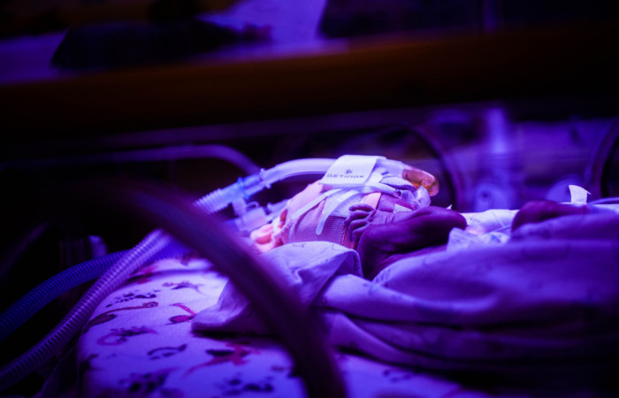 fot. Karolina Fok / Archiwum SU