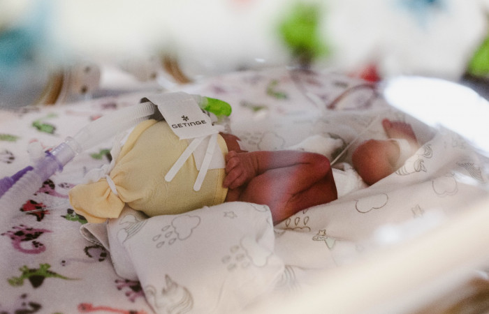 fot. Karolina Fok / Archiwum SU