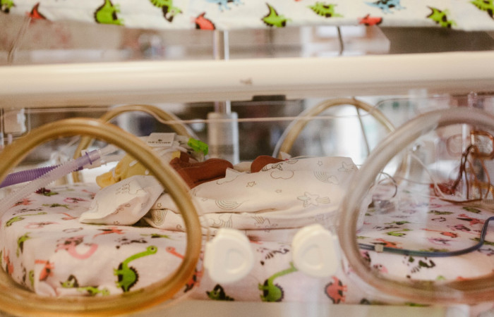 fot. Karolina Fok / Archiwum SU