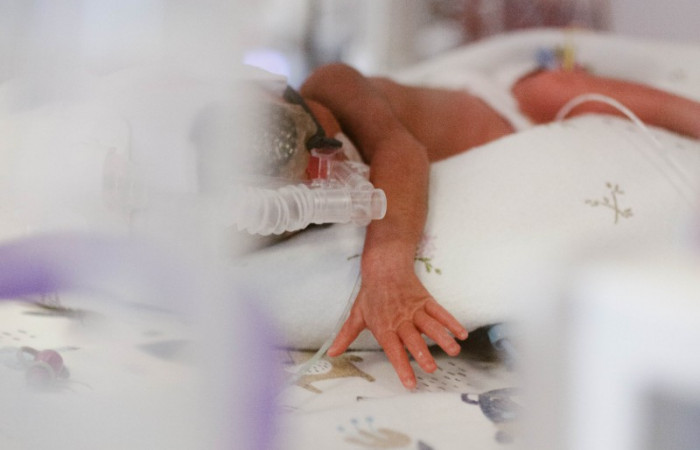 fot. Karolina Fok / Archiwum SU