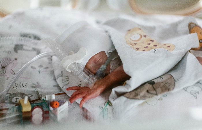 fot. Karolina Fok / Archiwum SU