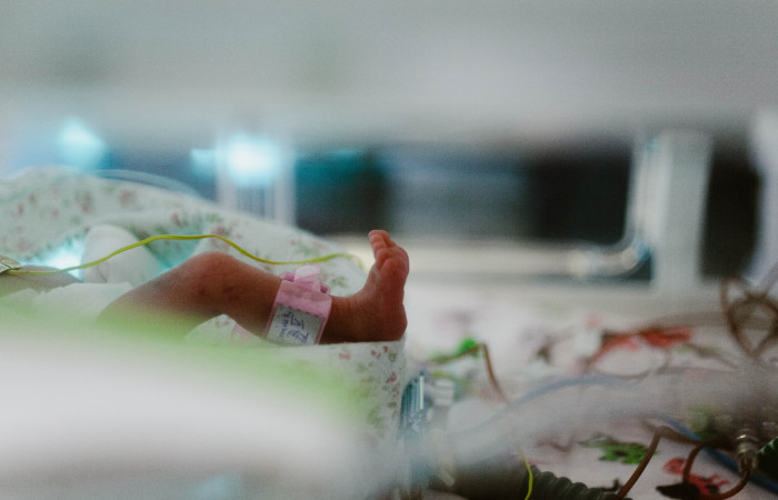 fot. Karolina Fok / Archiwum SU