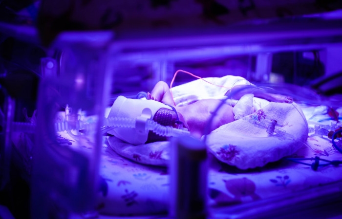 fot. Karolina Fok / Archiwum SU