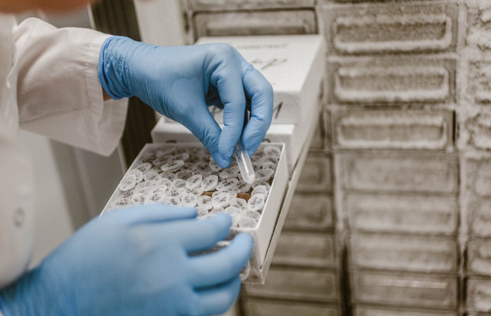 fot. Karolina Fok Archiwum SU