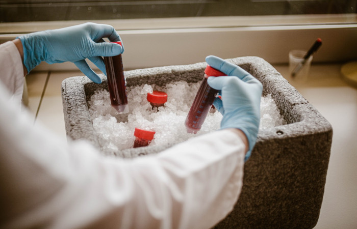 fot. Karolina Fok Archiwum SU