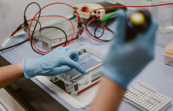 fot. Karolina Fok Archiwum SU