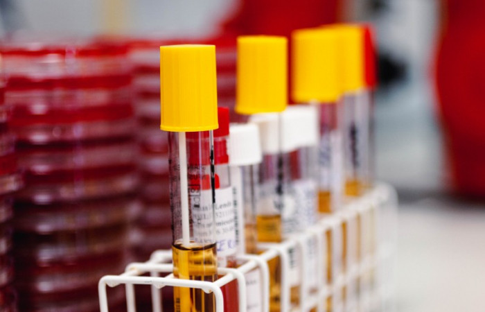 fot. Karolina Fok Archiwum SU