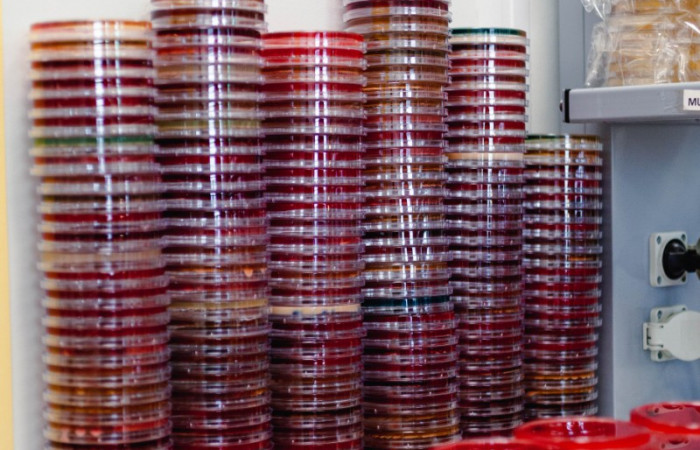 fot. Karolina Fok Archiwum SU