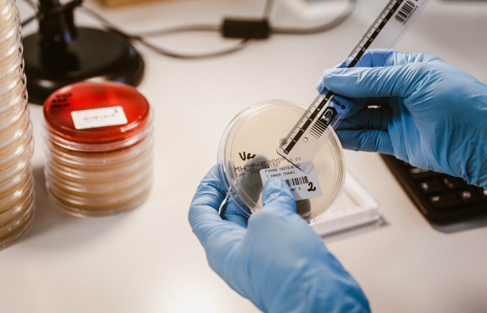 fot. Karolina Fok Archiwum SU