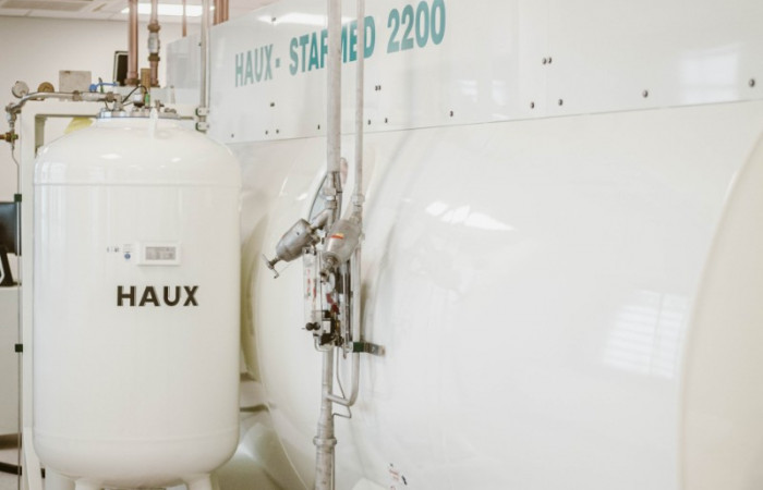 fot. Karolina Fok - Jamróz / Archiwum SU