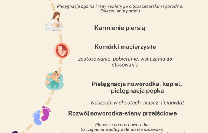 Colorful Minimalist Design Process Infographic Poster