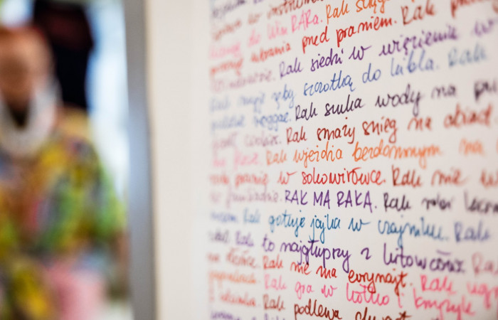 Małgorzata Sajan - artystyczny projekt zatytułowany „Rak ma raka”