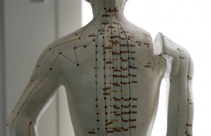 fot. Archiwum SU/Maria Włodkowska