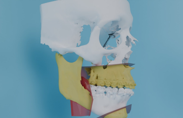 Zdjęcie WhatsApp 2025-02-20 o 20.11.54_98442f28