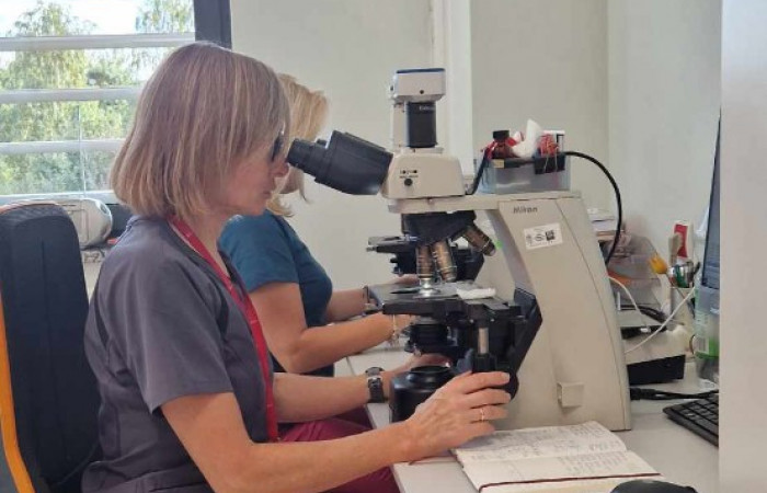 393445303_997394188038061_259862482781294597_n