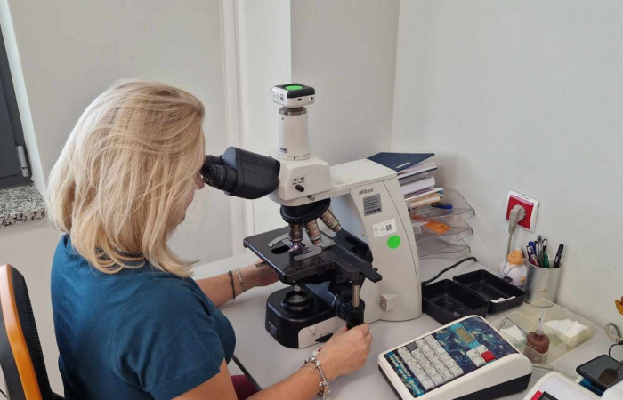 393520191_1045334056880474_4420052531243800134_n